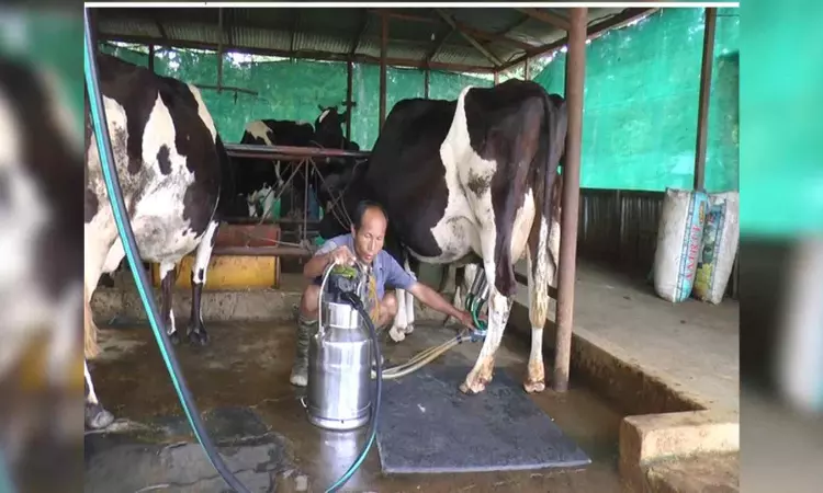 Milk production in India