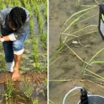 Amid a lack of proper irrigation techniques, farmers waste gallons of water in paddy fields. Karnataka’s Malesh T launched agri-tech platform CultYvate to help farmers to measure water requirement of crops sitting at home.