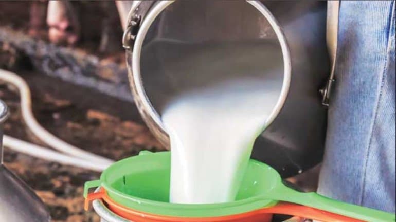 Price Of Wholesale Buffalo Milk To Increase