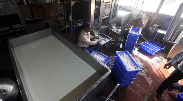 Decoding the potential of dairy technology in J&K