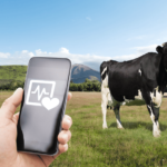 Embracing Change The Imperative for Transformation in the Dairy Industry