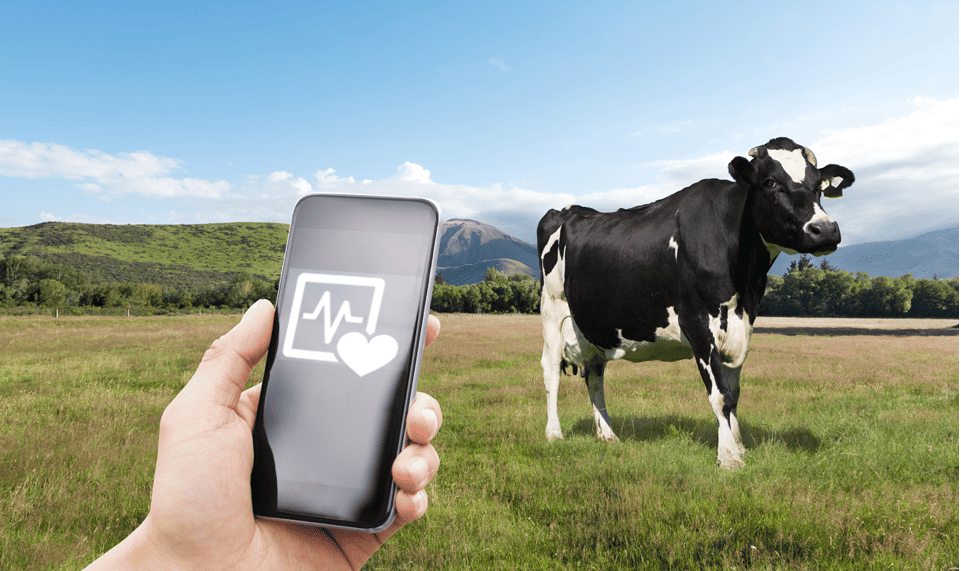 Embracing Change The Imperative for Transformation in the Dairy Industry