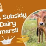 50% Subsidy for Dairy Farmers Announced by Yogi Government, Selection Criterion