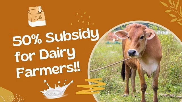 50% Subsidy for Dairy Farmers Announced by Yogi Government, Selection Criterion