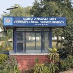 GADVASU holds camp on dairy animals