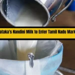 Karnataka's Nandini Milk Set to Enter Tamil Nadu Markets