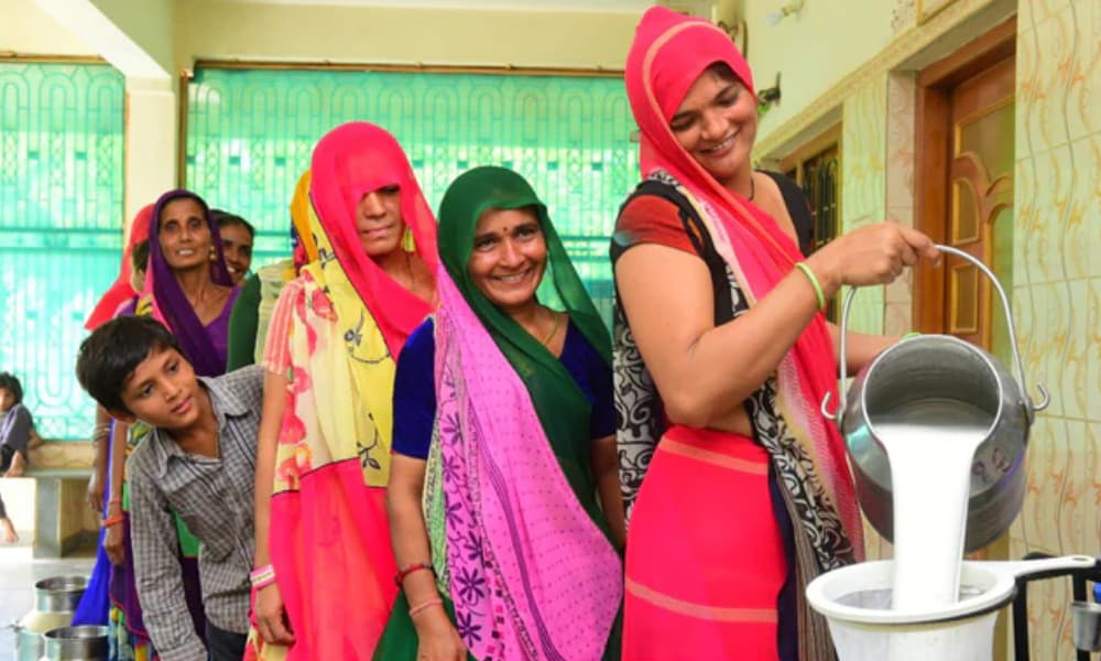 Women societies’ revival sees big jump in milk procurement