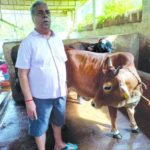 Assagao’s Kamat Dairy & Farm A third-generation legacy thriving with innovation