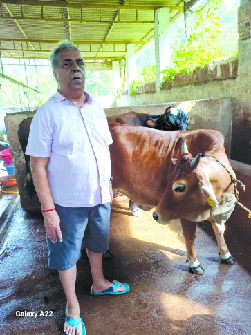 Assagao’s Kamat Dairy & Farm A third-generation legacy thriving with innovation