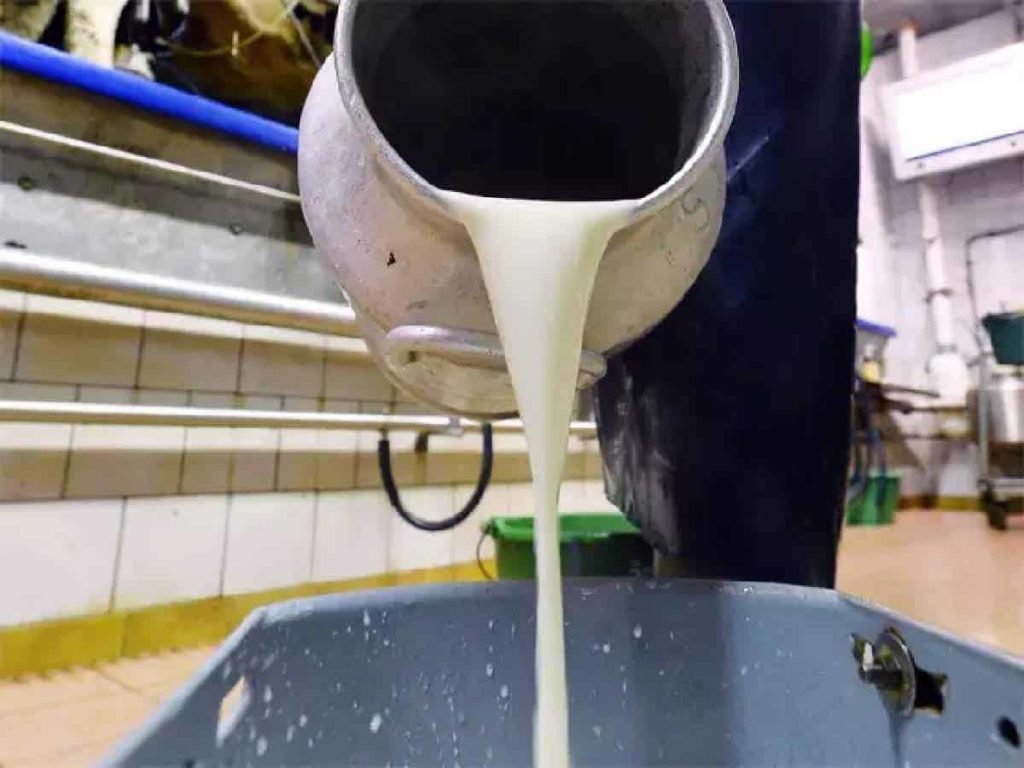 Himachal govt. increases procurement price of milk by Rs 6 a litre