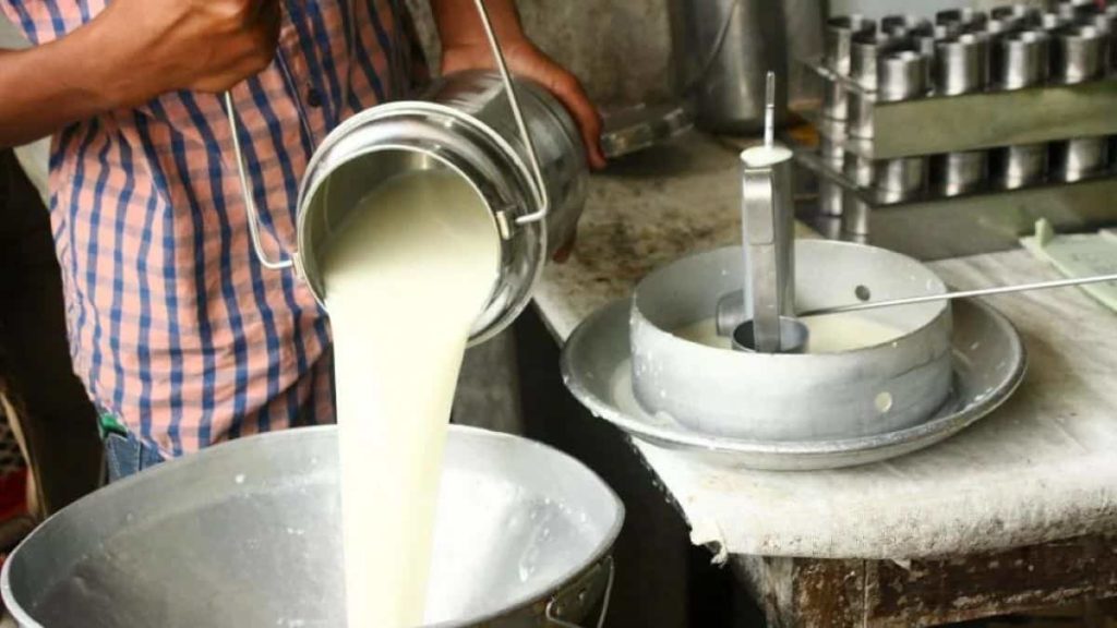 Maharashtra govt announces Rs 5 litre subsidy for milk producers