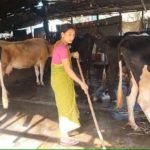 Assam Woman dairy farmer from Bajali to take part in Republic Day parade