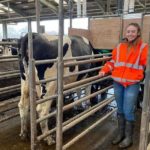 Funding Boost For Environmental Research On Dairy Cows At Harper Adams University