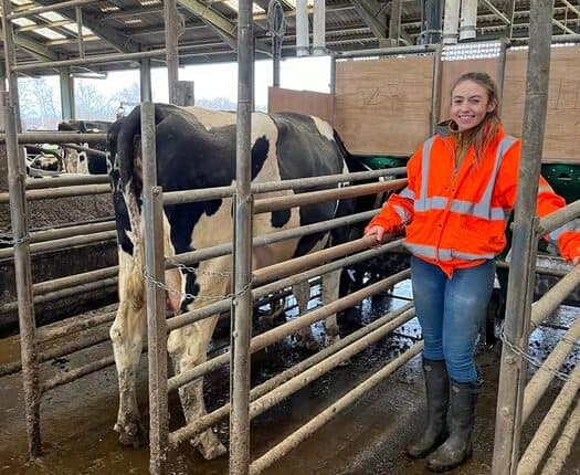 Funding Boost For Environmental Research On Dairy Cows At Harper Adams University