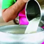 Daily milk collection in Indore at a five-year high