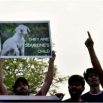 Coimbatore Animal rights body demands personhood status for goats, cows