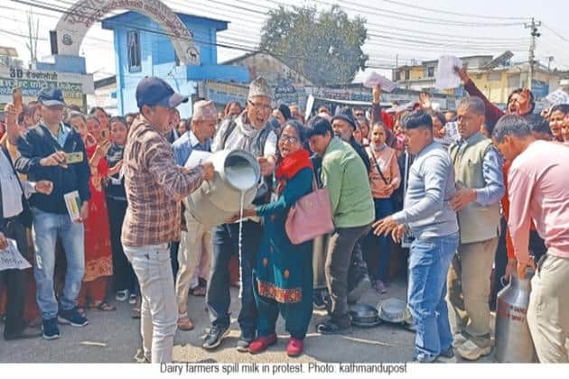 Dairy dilemma Nepali farmers demand fair pay amidst economic turmoil