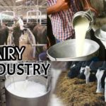 Dairy sector to generate significant employment opportunities in UP