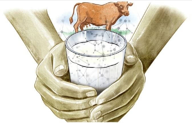 Milma facilitates insurance scheme for dairy farmers facing heat distress in Thiruvananthapuram