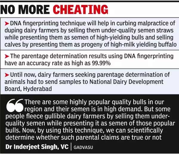 No bull DNA fingerprinting to nail semen milk cheats