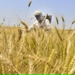 Prospects for demand and supply of agricultural commodities towards 2030