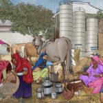 Women take lead in dairy development