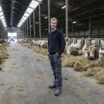 Hard right makes hay with European farmers’ anger ahead of June elections