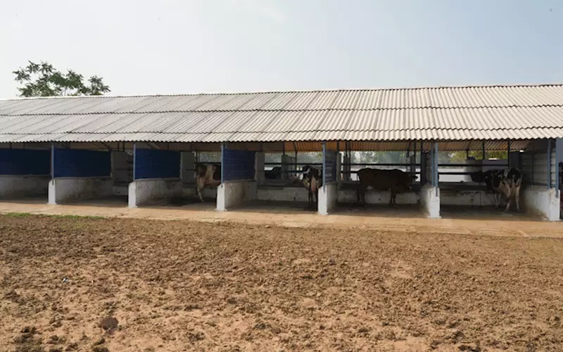 Sabarkantha Dairy and Tetra Pak create sustainable cowshed roofs from recycled cartons