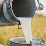 Expect Major Increase in Milk Prices” Warns Karachi’s Dairy Farmers Association