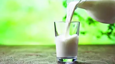 New milk shake Amul now eyes MP brand