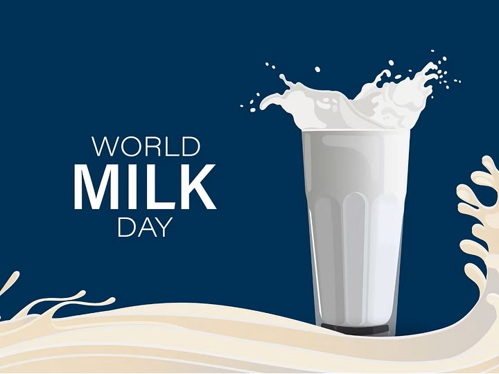 World Milk Day 2024