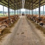 Empowerment Of Farmers Through Dairy Farming