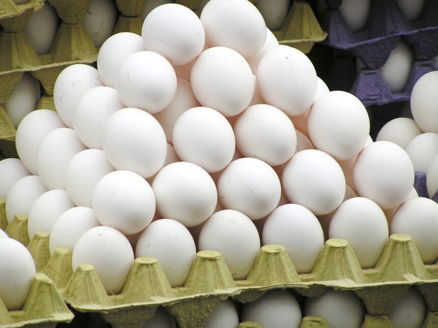 J&K’s dairy & egg production witness surge