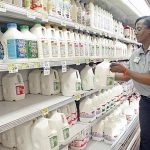 Malaysia reviews dairy imports as bird flu hits cows in US