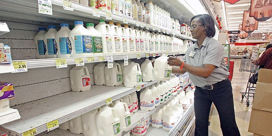 Malaysia reviews dairy imports as bird flu hits cows in US