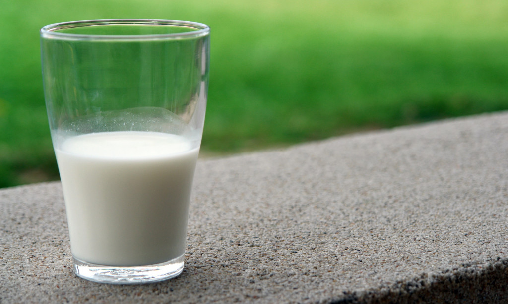Minister hails state’s dairy sector