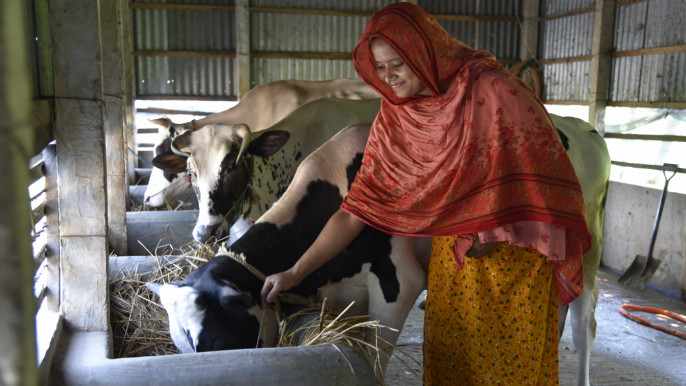 Sirajganj's Tk100cr dairy market thrives on milk production boom