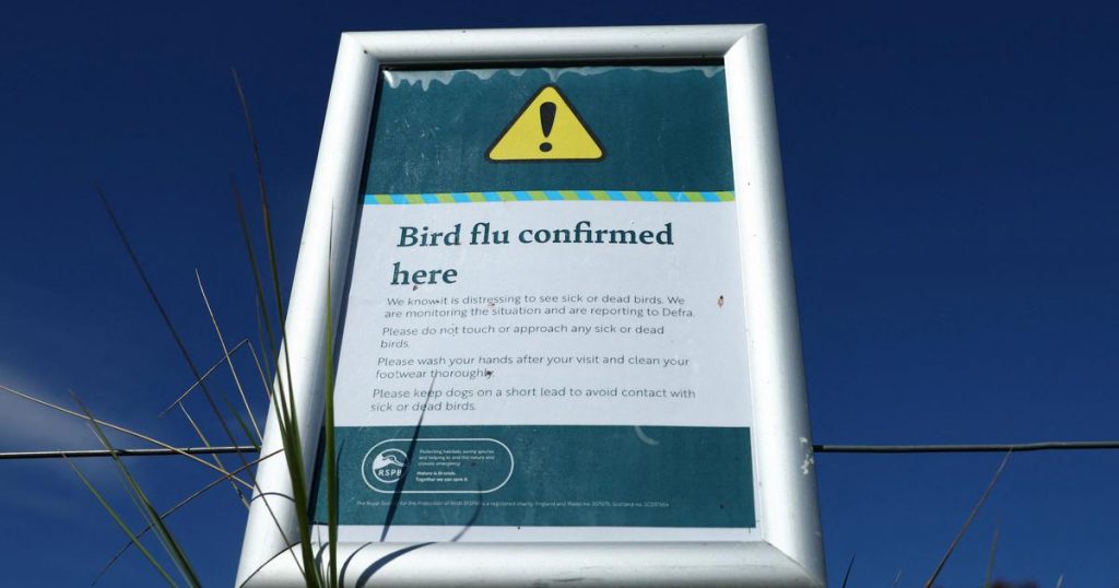 To save humans from the deadly H5N1 avian flu, the time to act is now