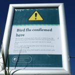 To save humans from the deadly H5N1 avian flu, the time to act is now