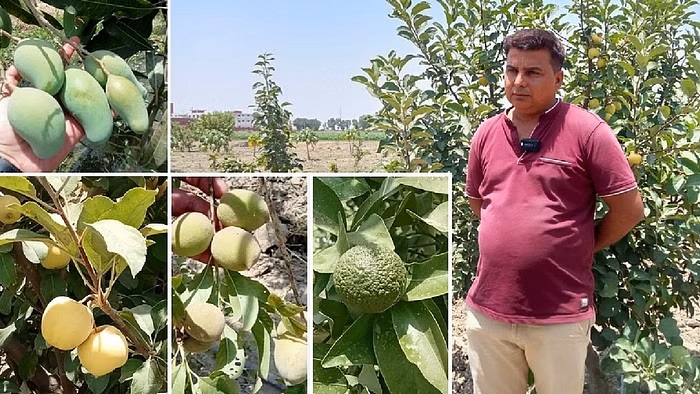 From Dairy Employee to Earning Lakhs in Organic Farming- Jitendra Mann's Inspiring Story