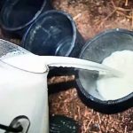 22% of milk, product samples failed quality test in 3 years in region