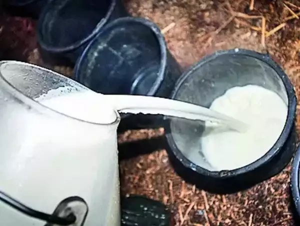 22% of milk, product samples failed quality test in 3 years in region