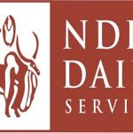 NBBD to submit biz revival plan for dairy co-op