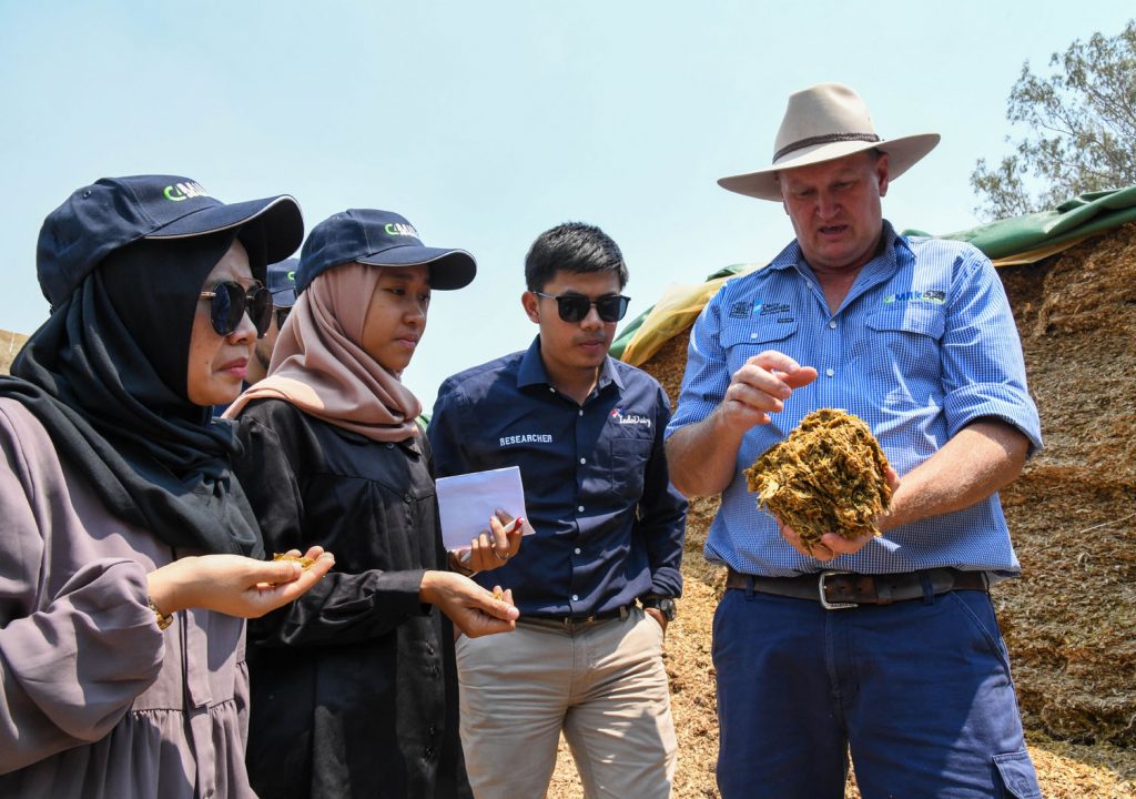 New Dairy Project Boosts Smallholder Farmer Profits