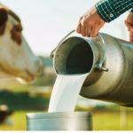 Rare infection linked to consumption of raw dairy products