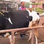 This Man Left a Govt Job for His Passion and Now Earns Rs 70 Lakhs Annually in Dairy Farming