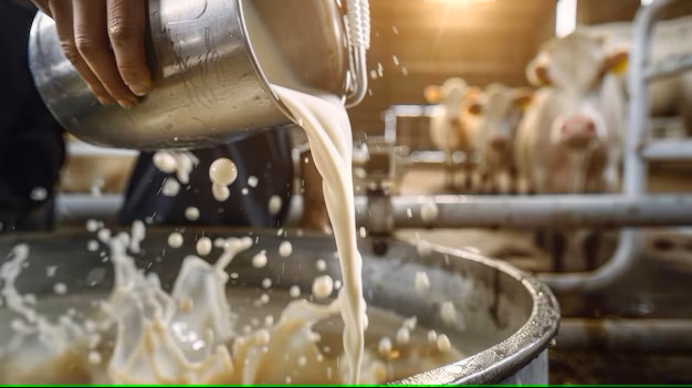 Beyond the Milk, Innovative Approaches To Reduce Dairy's Methane Emissions