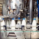 Hamirpur targets 2.50 lakh litre milk per day production