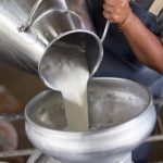 India Leads in Milk Production