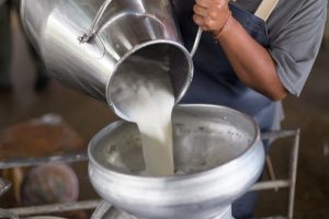 India Leads in Milk Production